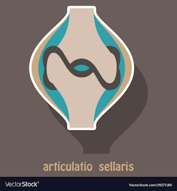 Knee joint health care icon sticker vector image