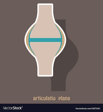 Knee joint health care icon sticker vector image