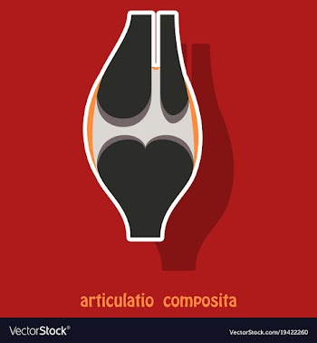 Knee joint health care icon sticker vector image
