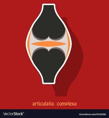 Knee joint health care icon sticker vector image