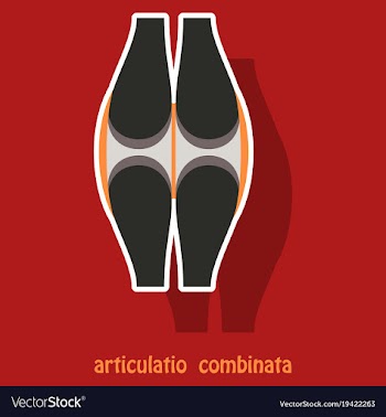 Knee joint health care icon sticker vector image