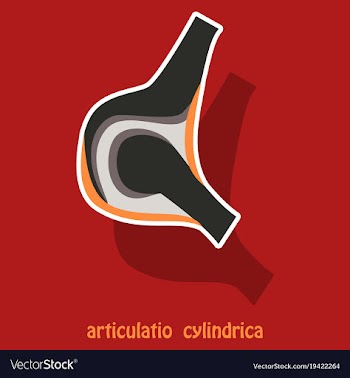 Knee joint health care icon sticker vector image