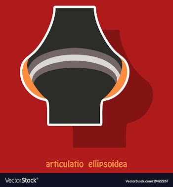 Knee joint health care icon sticker vector image