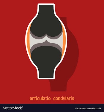 Knee joint health care icon sticker vector image