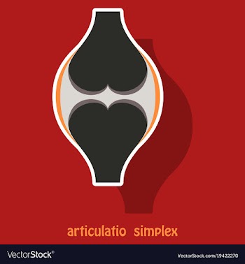 Knee joint health care icon sticker vector image