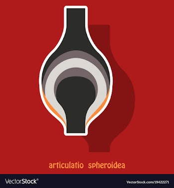 Knee joint health care icon sticker vector image