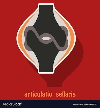 Knee joint health care icon sticker vector image