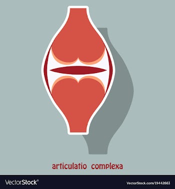 Knee joint health care icon sticker vector image