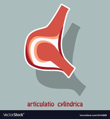 Knee joint health care icon sticker vector image