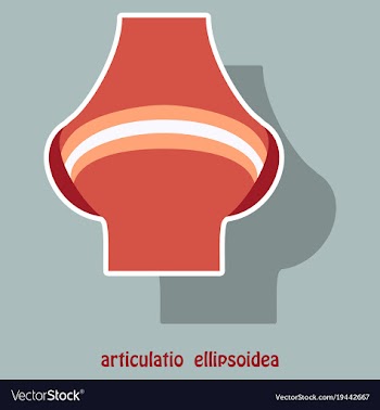 Knee joint health care icon sticker vector image