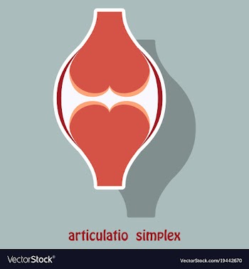Knee joint health care icon sticker vector image