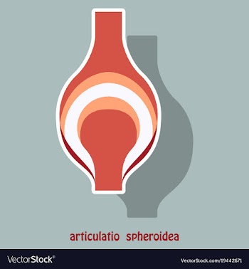 Knee joint health care icon sticker vector image