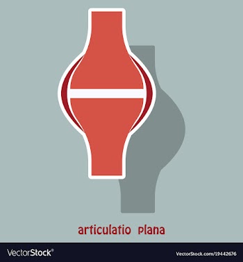 Knee joint health care icon sticker vector image