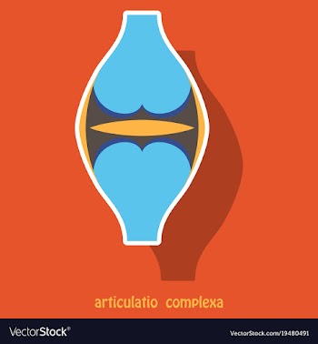 Knee joint health care icon sticker vector image