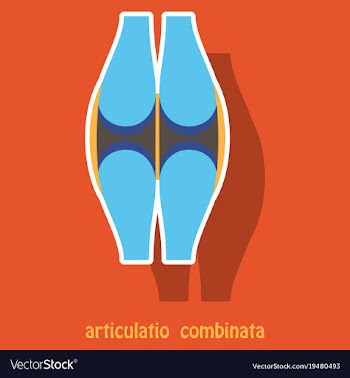 Knee joint health care icon sticker vector image