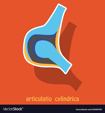 Knee joint health care icon sticker vector image