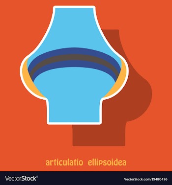 Knee joint health care icon sticker vector image