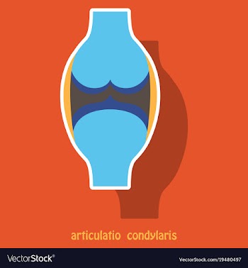 Knee joint health care icon sticker vector image
