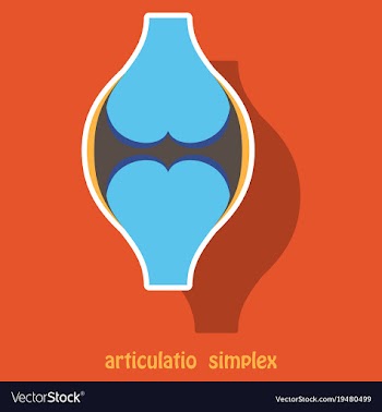 Knee joint health care icon sticker vector image