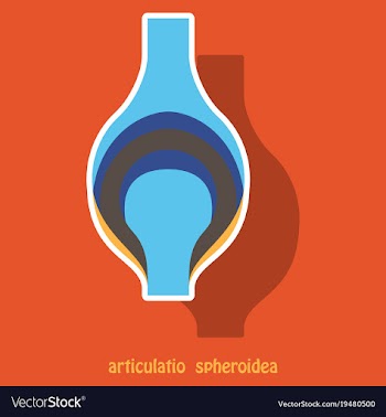 Knee joint health care icon sticker vector image