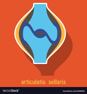 Knee joint health care icon sticker vector image