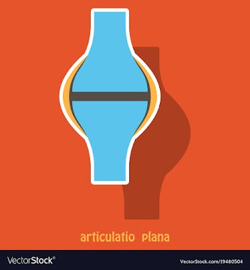 Knee joint health care icon sticker vector image