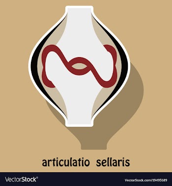 Knee joint health care icon sticker vector image
