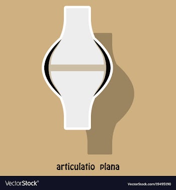 Knee joint health care icon sticker vector image