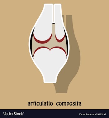 Knee joint health care icon sticker vector image