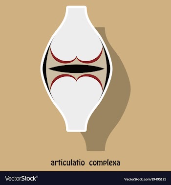 Knee joint health care icon sticker vector image
