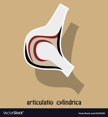 Knee joint health care icon sticker vector image