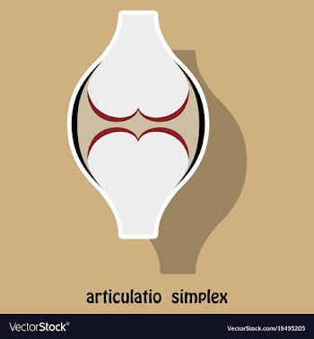 Knee joint health care icon sticker vector image