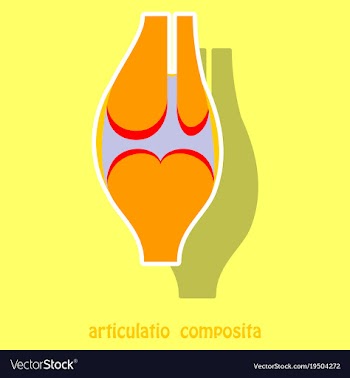 Knee joint health care icon sticker vector image