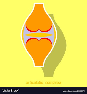 Knee joint health care icon sticker vector image