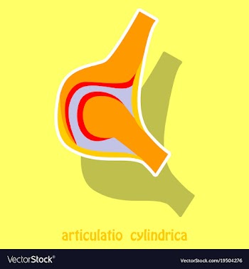 Knee joint health care icon sticker vector image