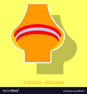 Knee joint health care icon sticker vector image