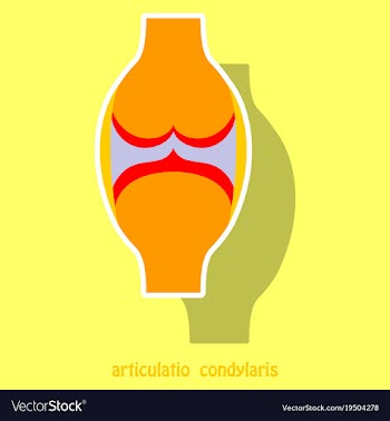 Knee joint health care icon sticker vector image