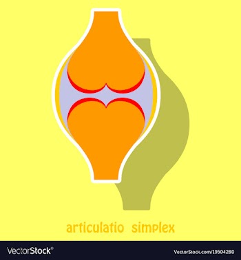 Knee joint health care icon sticker vector image