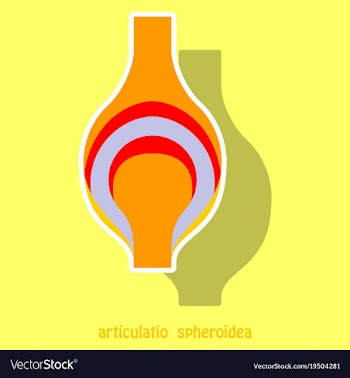 Knee joint health care icon sticker vector image