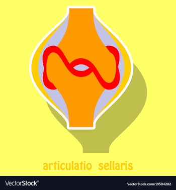 Knee joint health care icon sticker vector image