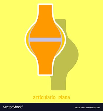 Knee joint health care icon sticker vector image