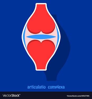 Knee joint health care icon sticker vector image