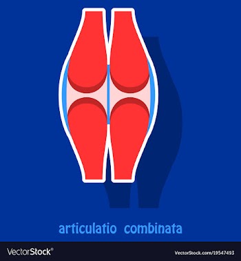 Knee joint health care icon sticker vector image