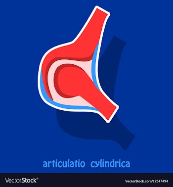 Knee joint health care icon sticker vector image