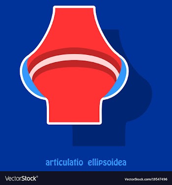 Knee joint health care icon sticker vector image
