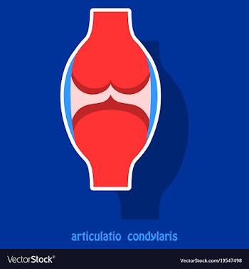 Knee joint health care icon sticker vector image