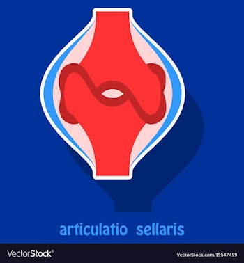 Knee joint health care icon sticker vector image