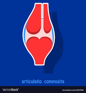 Knee joint health care icon sticker vector image