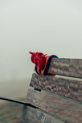 Knit Booties on Bench