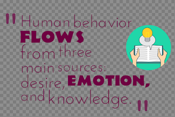 Knowledge Quotes PNG Transparent Image